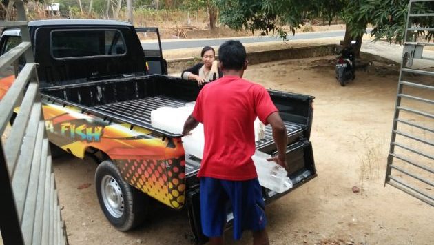 10 Mesin Es Tenaga Surya: Andal di lokasi minim infrastruktur, mendukung kemandirian energi usaha lokal.