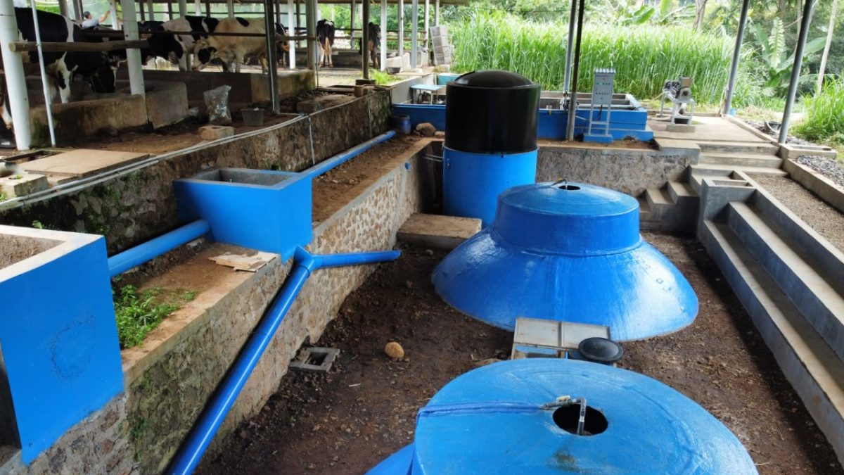 WhatsApp Image 2025-11-14 at 15.33.59_1938ec6b